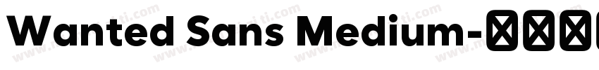 Wanted Sans Medium字体转换
